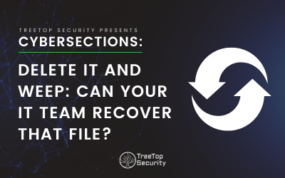 Delete It and Weep: Can Your IT Team Recover the File?