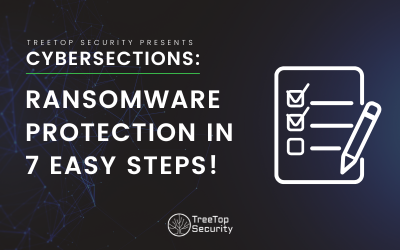Ransomware Protection in 7 Easy Steps (Why Not 6? Why Not 5?)